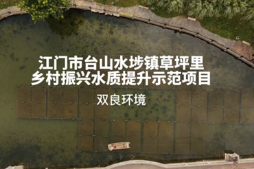 景觀水體修復項目-廣東江門臺山草坪村鄉村振興項目